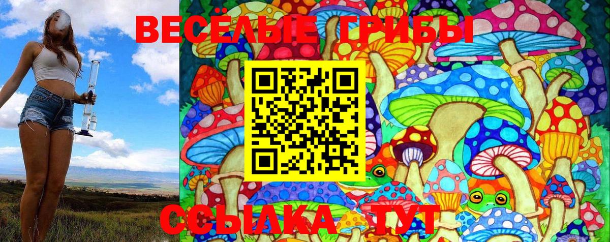 Псилоцибиновые грибы GOLDEN TEACHER  Вход с VPN  закладки  Чита 